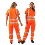Ladies Hi Vis Savannah Birds Eye Polo - Image 8